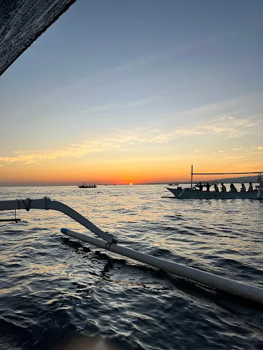 Dolphin Lovina Tour 2
