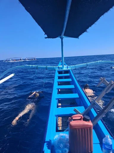 Bali Dolphin Adventure 1