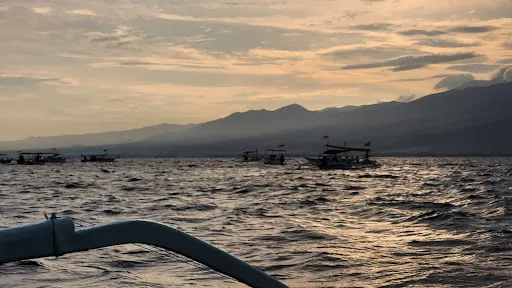 Bali Dolphin Adventure 2