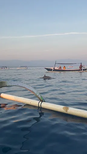 Bali Dolphin Adventure 3