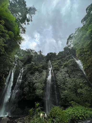 Reiga Sari Travel Lovina 1