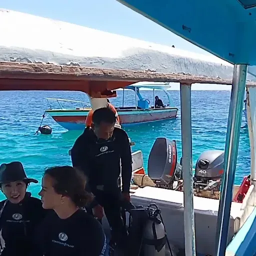 Reiga Sari Travel Lovina 3