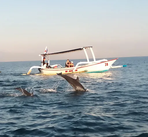 Lovina Marine Activities 2