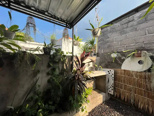 Prana Healing Guesthouse, Lovina, Jl. Ajurna A4 1