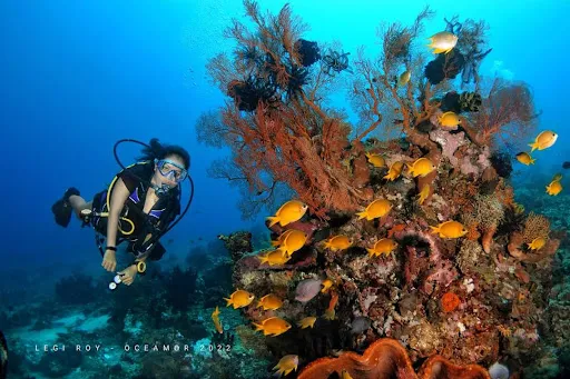 Permai Scuba Dive 1