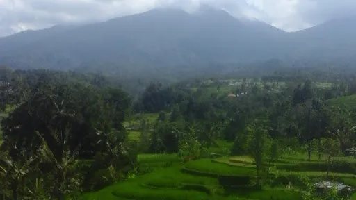 Lovina Transport Tour 1