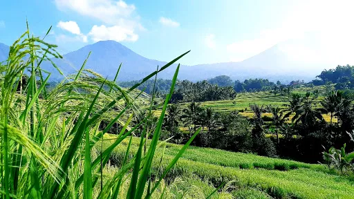 Bali Sunrise Unpack Tour 1