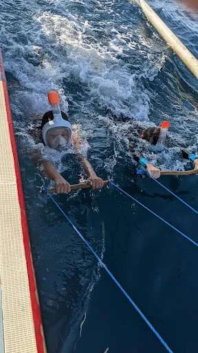 Bangle dolphin tour 1