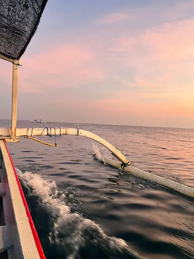 Bangle dolphin tour 2