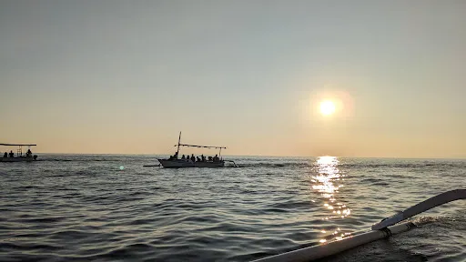 Bangle dolphin tour 3