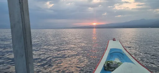 Bangle dolphin tour 4