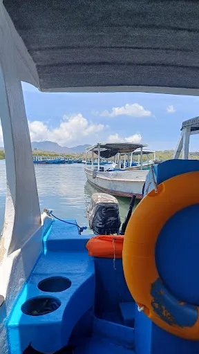 New Tirta Dive and Snorkeling Lovina 3
