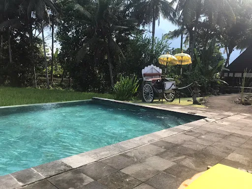 ECO GREEN BALI 3