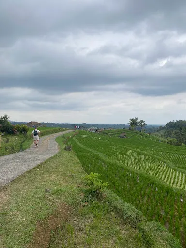 Bali Tours Activities By BaliVentur 1