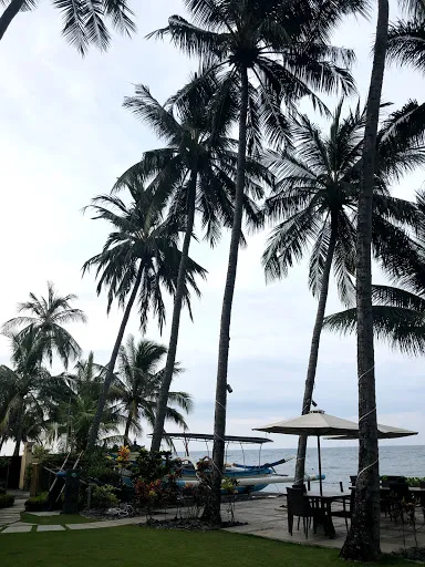 Warung Kelapa Tejakula 3