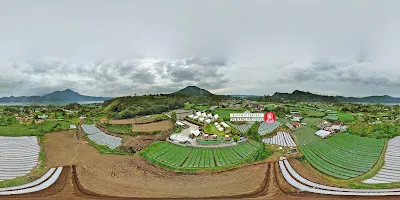 The Dewi Kintamani 2