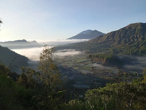 Pinggan Sunrise View Pohon Cinta 3