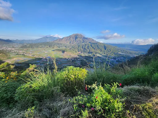 Pinggan Sunrise View Pohon Cinta 4