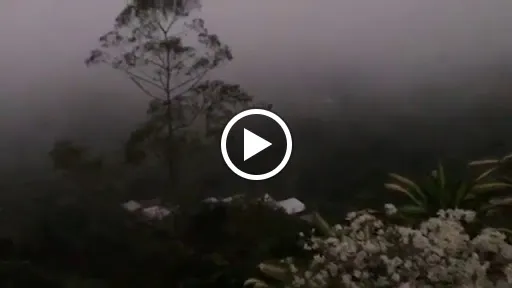 Kintamani Coffee - Eco Bike Coffee 4