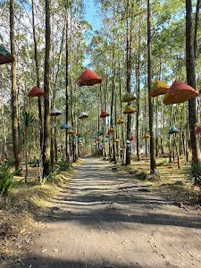 Ampupu Camp 4