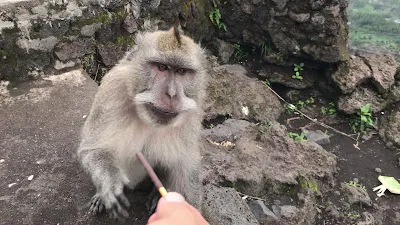 Mount Batur Sunrise Hike & Jeep Adventure 2