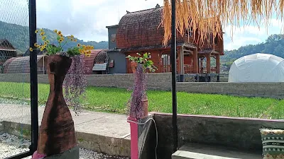 Yucabin Kintamani - for Cool Adults only 1