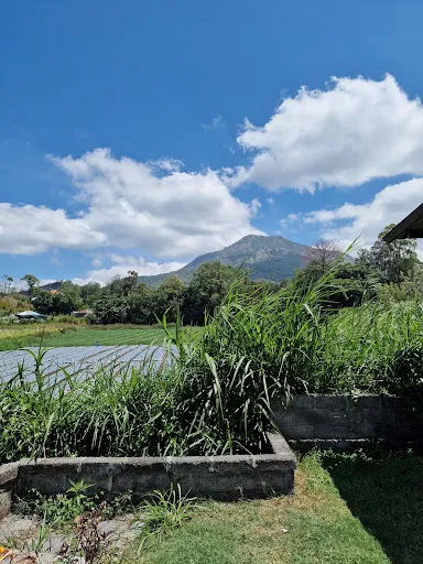 BALI VOLCANO NATURAL HOT SPRING SWIMING POOL 4