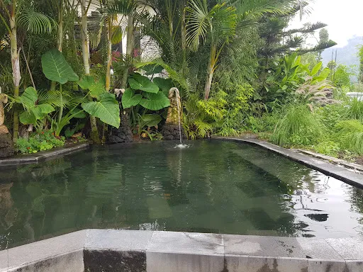 Segara Healing Bali Natural Hot Spring 1