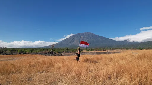 Savana Tianyar 1