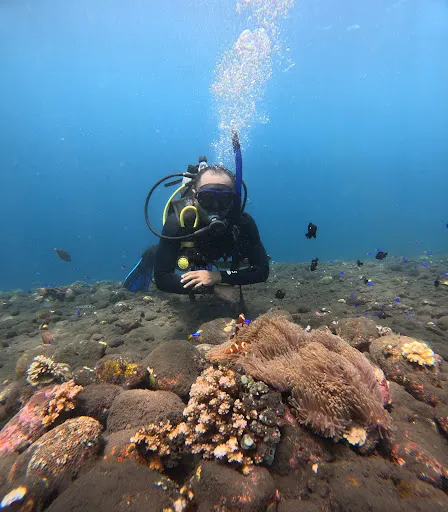 OHAYO DIVE TULAMBEN 2