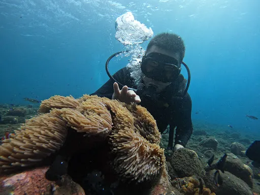 Bali Coral Dive Center 3