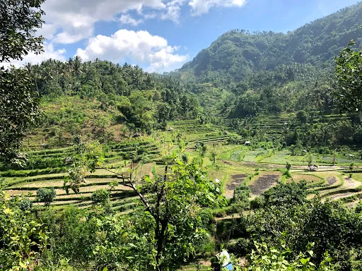 Moyo Bali tours & transport 2