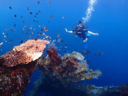 Tour Dive Bali 2