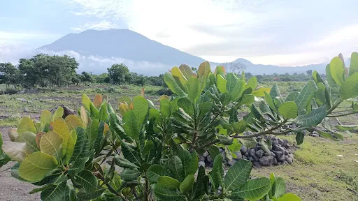Warung Babi Guling Bu Srining 4