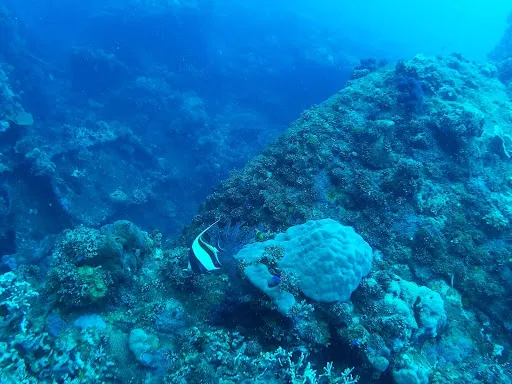 Tulamben Wreck Divers Resort 2
