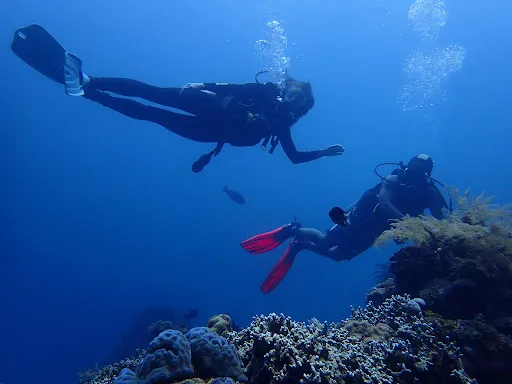 Liberty Wreck Dive 2
