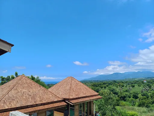 Bali Conservation Diving 2