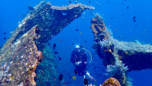 Wonder Dive Bali 1