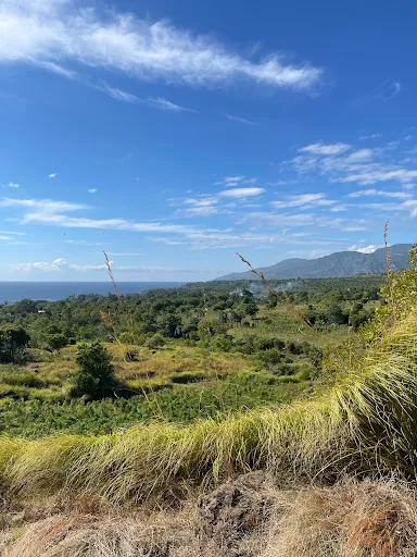 Savana Tulamben 2