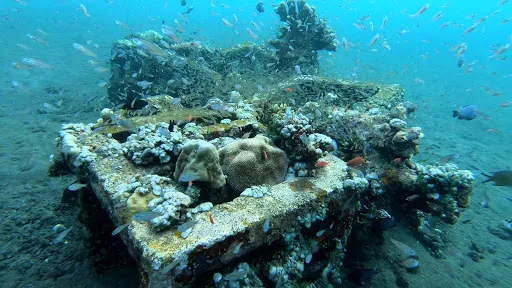 Bali Fab Dive center 3