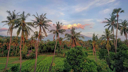 Bali Blue Gecko Villas 3