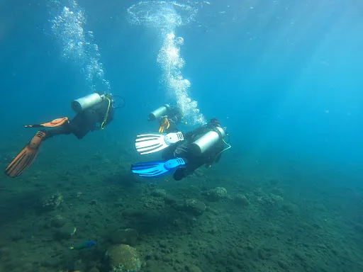 Dive Concepts Amed