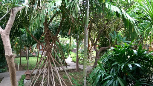 Kirana Homestay 3