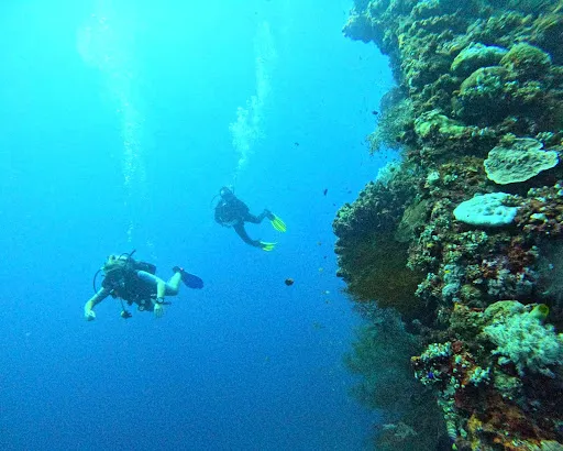 Bali Dive Cove 1