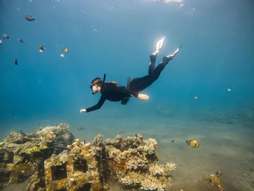 Fathom Freedive Bali 2