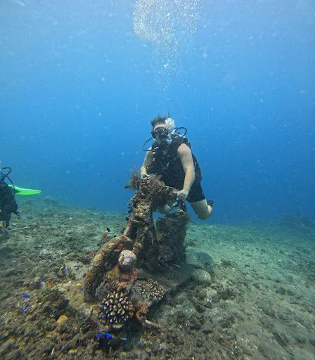 Ocean Tree Bali - Diving in Amed 2