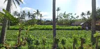 D'TUKAD GUEST HOUSE 2