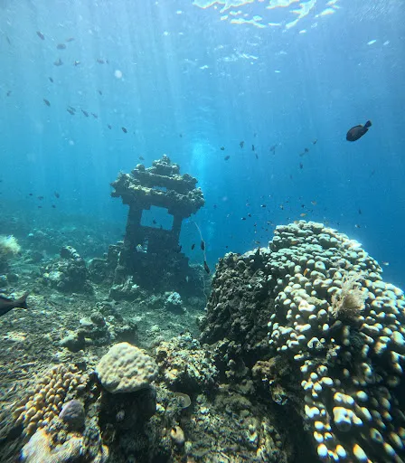 AMED BEST SNORKELING TOUR |Sunset And Fishing Trip 4