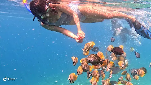 Snorkeling in amed 2