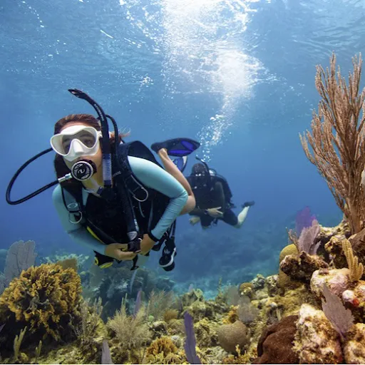 Dive Resort Diving La Vida Loca 1